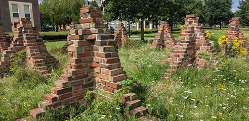 Heemtuin